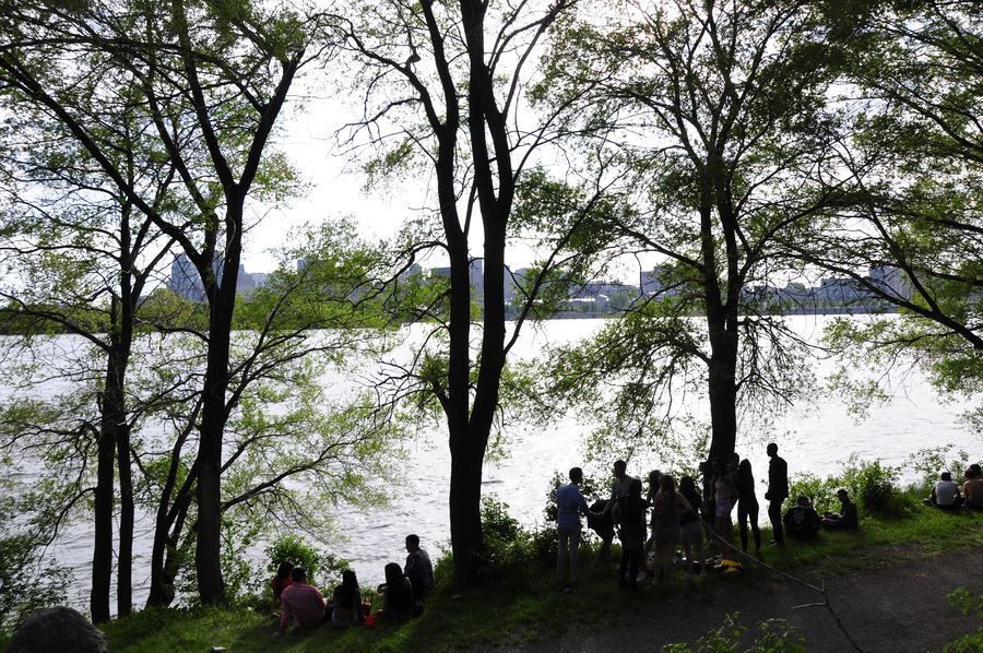 A group of people gather by a river bank underneath a grove of deciduous trees. Behind the tree branches and across the river is the outline of Montréal’s downtown skyline.